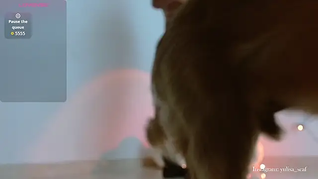 yulissa18 online show from February 19, 4:34 am