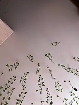 -Sexy Barbie- online show from September 21, 4:55 am