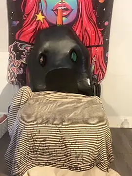 Gripperke00 online show from October 26, 2:12 pm