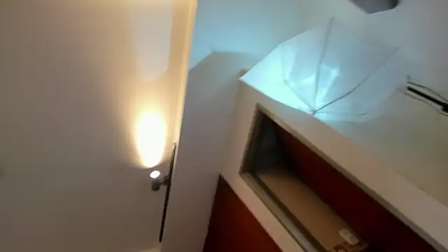 evelyn wine online show from November 11, 8:17 pm