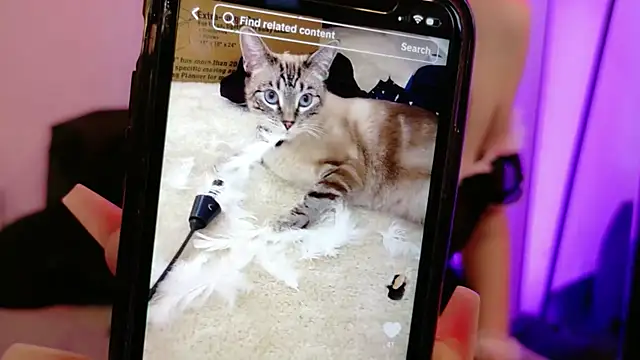 Midnightrose11 online show from October 31, 6:50 am