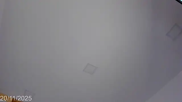 Bylie Hills online show from November 21, 5:09 am