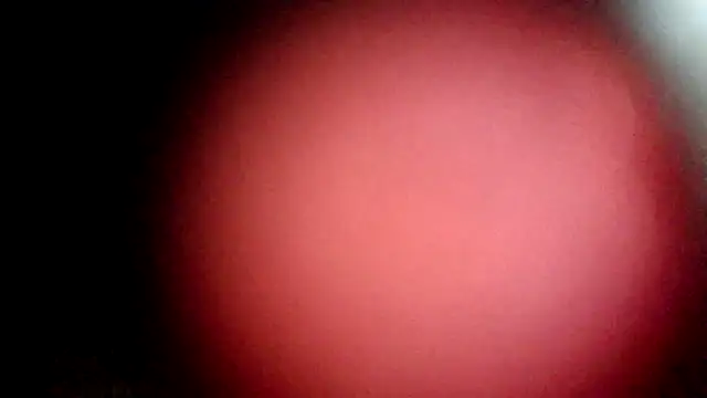 modenq online show from March 20, 2:33 pm