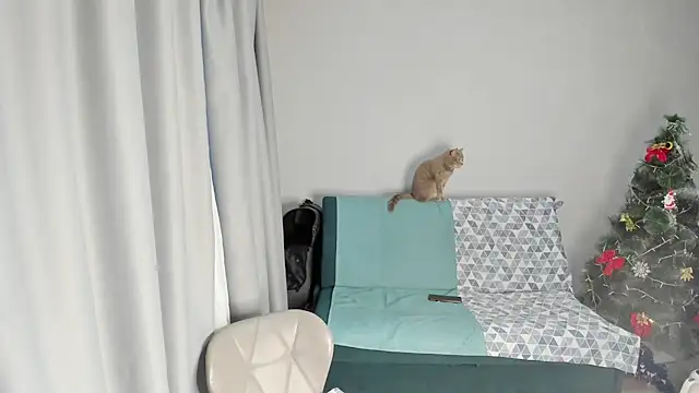 elis gabbi online show from December 19, 8:50 am