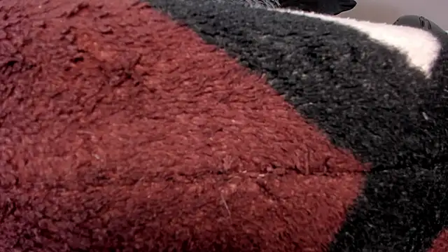 Carol M8 online show from April 23, 4:31 am