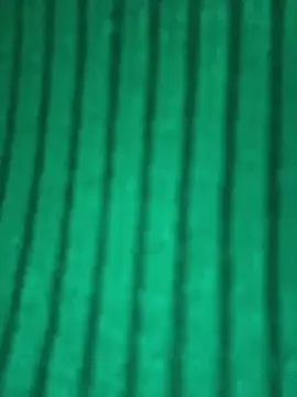 Linda-LL online show from March 10, 12:20 pm