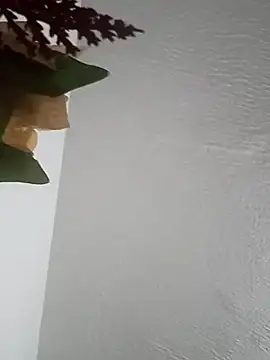 Naomy veracruz  online show from February 14, 10:39 am