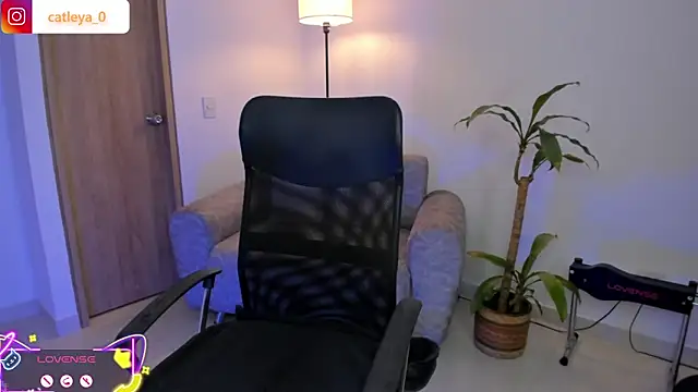 catleya 0 online show from March 31, 12:10 am