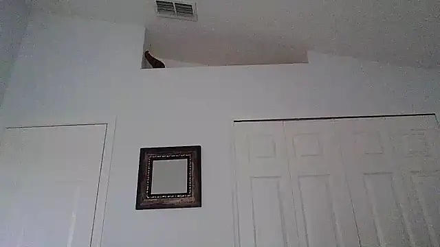 tendertormentt online show from October 11, 4:53 pm