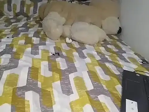 Chandy012 online show from November 22, 2:20 pm