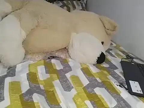 Chandy012 online show from September 28, 1:49 pm