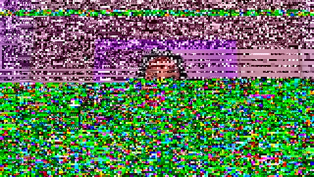 Lianngrace online show from November 15, 3:35 pm