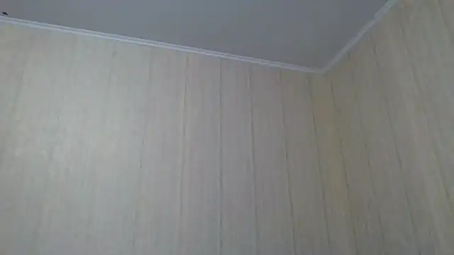  Black-Panther  online show from September 28, 10:31 am