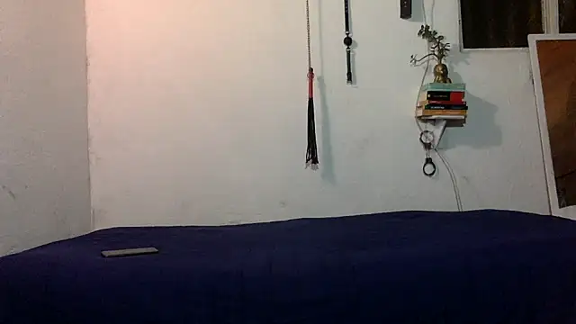 indomitaFox online show from December 4, 3:42 am