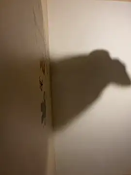 curis4270panda online show from September 16, 4:09 am