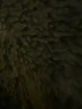 anonimgirl18old online show from February 21, 6:30 pm