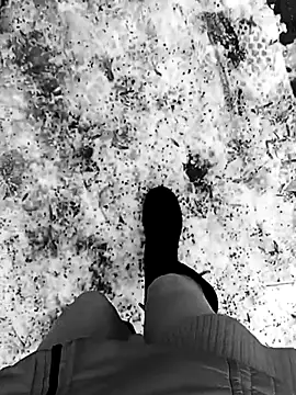 KOte7 online show from November 25, 10:50 am