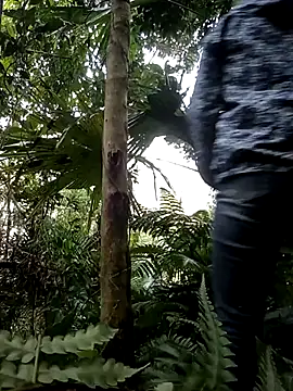 daisy will online show from January 13, 5:02 am