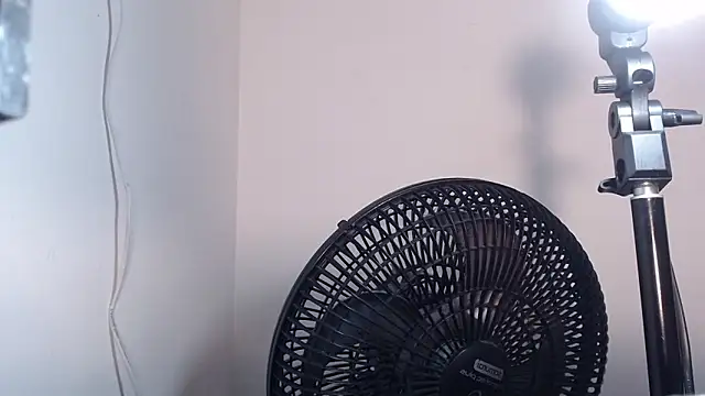 bloom bbc online show from October 3, 8:36 pm