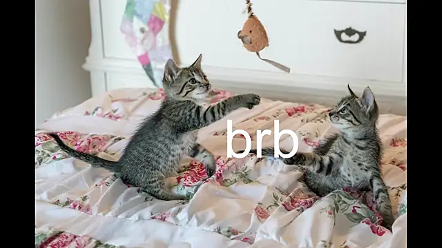 Pink girl0n online show from September 24, 2:38 pm