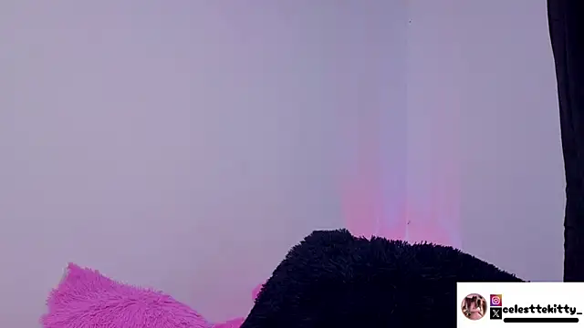 celestte evans 1 online show from February 20, 3:49 am