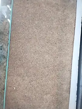 Katyuskka love online show from November 10, 9:10 pm