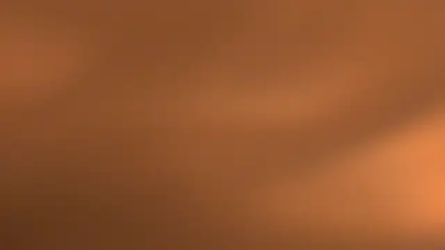 WILD FIREE  online show from October 12, 8:22 pm