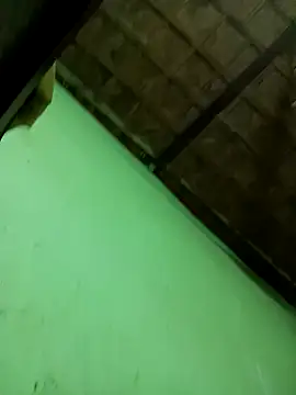 nila-aktar online show from October 4, 11:38 am