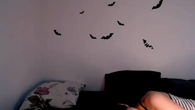 litle owl online show from November 7, 9:20 pm