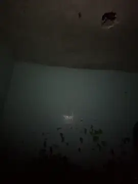 RandalHot online show from April 15, 3:18 am