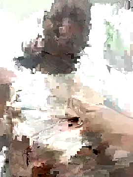 MichellePose online show from November 19, 1:05 am