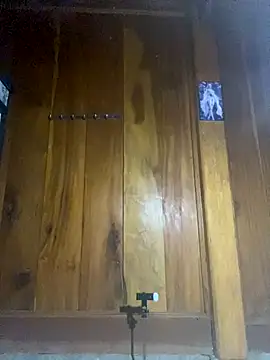 Lai005 online show from October 15, 11:35 am