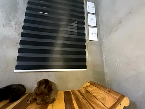 wild apple69 online show from December 15, 7:24 am