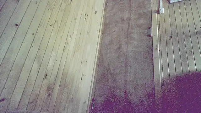 PhonedPave online show from December 19, 7:00 am