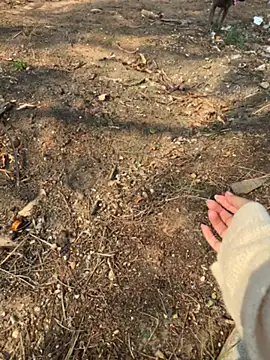 Kath C online show from April 23, 8:44 am