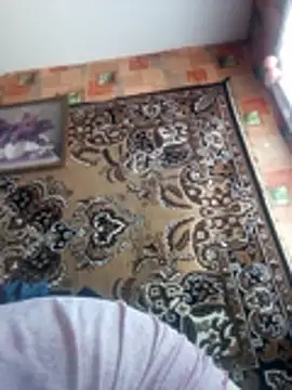 Romashka33011 online show from March 2, 8:43 am