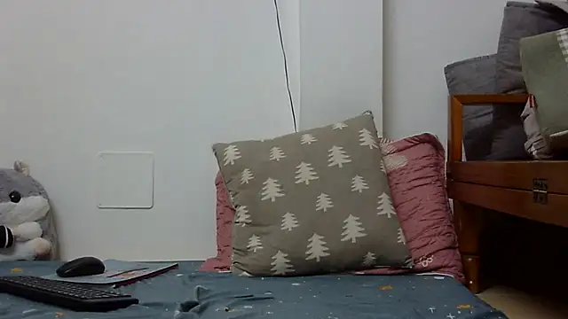 Kiko sunflower online show from April 1, 6:25 am