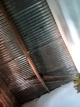 Sheema tyagi online show from November 17, 7:53 am