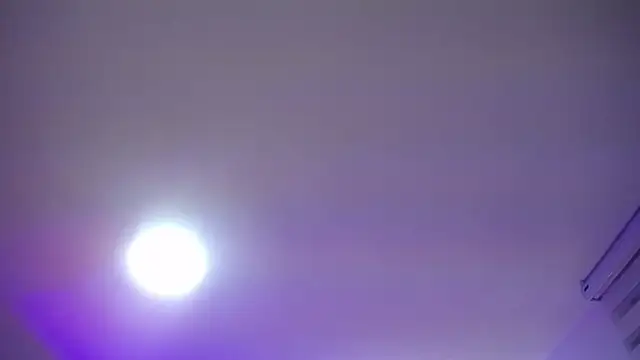  Charlotte Collins  online show from April 9, 2:33 pm