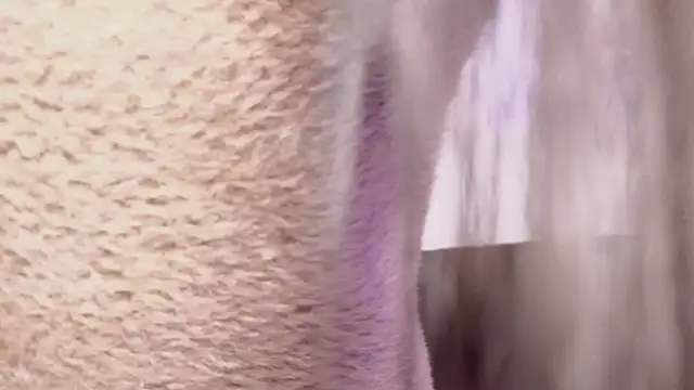 antonellariva  online show from February 3, 7:51 pm