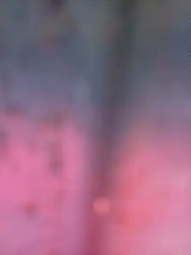 Payal950 online show from October 16, 8:06 am