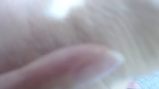 karla lopes online show from December 14, 12:55 pm