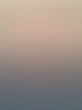 Adele Pinkk online show from November 20, 12:17 pm