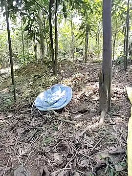 Tin tanny online show from February 28, 6:24 am