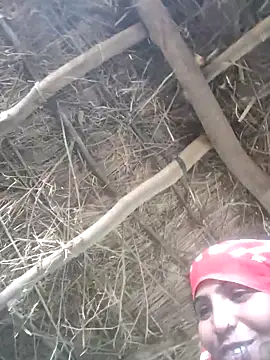 LUCKY cut online show from November 7, 3:56 am