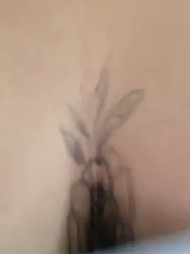 Shell Latina online show from November 18, 2:29 pm