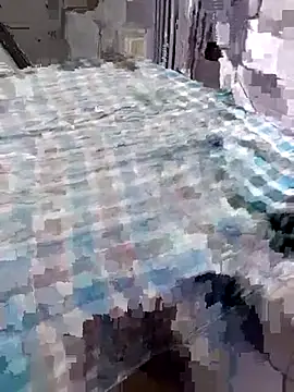 Cachorrinha2025 online show from March 14, 9:38 pm