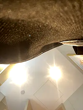 miumiu-66 online show from December 4, 11:45 am