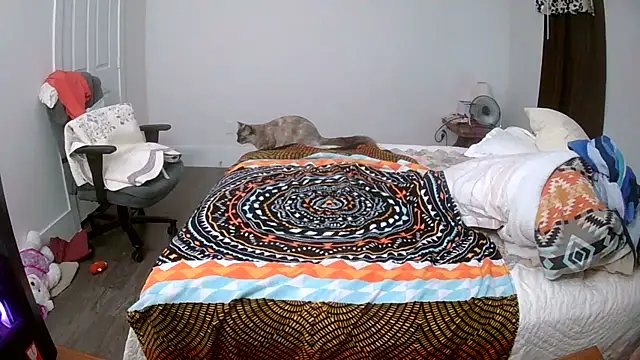 Buggy1965 online show from November 24, 3:47 pm