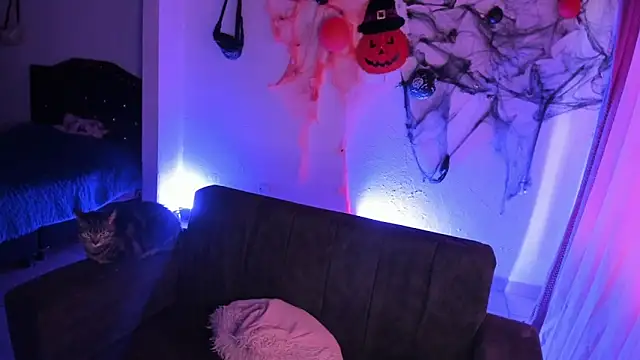 kitty  chs online show from November 15, 1:23 pm